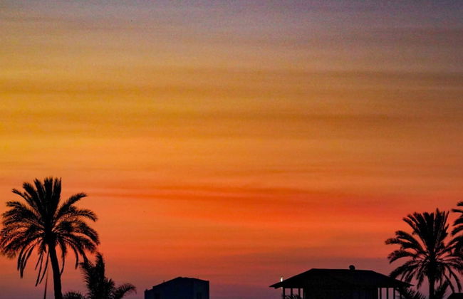 HOP Mykonos en Playa y Naturaleza de Chincha - Foto 46