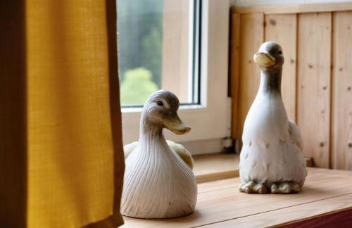 Rutscherhof Breitnau - Foto 6