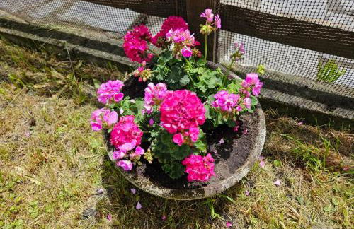 Accogliente Casa con Giardino - Foto 28