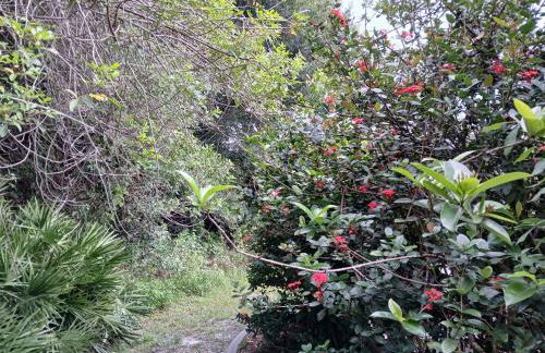 Punta Gorda Home, Sleeps 10 - Photo 26