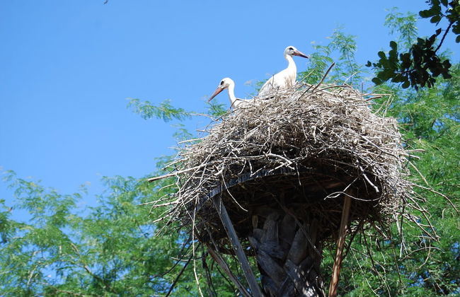 Vivienda Rural el Retorno - Foto 37