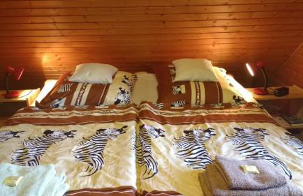 Haus Tsavo - Foto 18