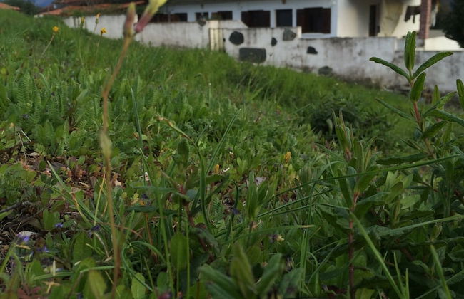 Refugio da Montanha Amazing Views Gois Region - Foto 37