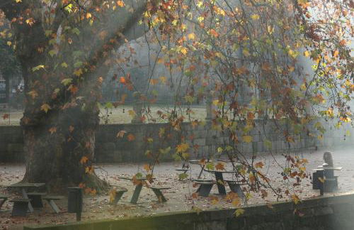 Solar Egas Moniz-Charming House & Local Experiences - Foto 67