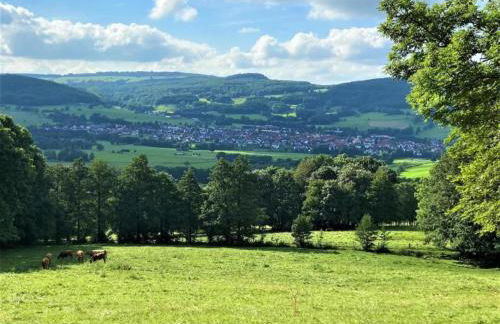 Charming Holiday Home With Natural Garden in Kaltennordheim-thuringia - Foto 8