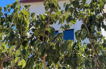 Tantulia la casita del Caballo - Foto 34