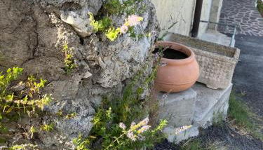 Frank House 2 - Foto 1