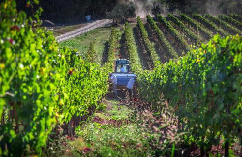 Villa S.Andrea - Foto 47