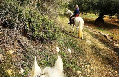 La Cuadra de Finca Don Carmelo - Foto 36