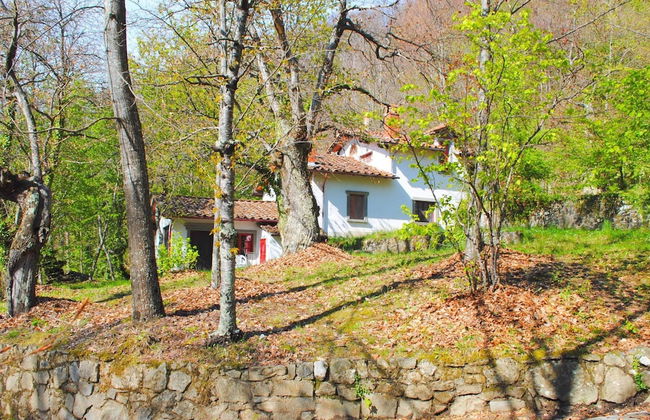 Spacious Home With Shared Pool - Photo 35