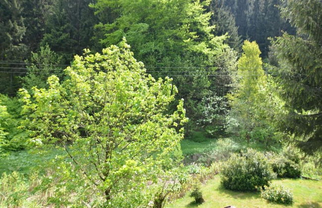 Ferienwohnung mit Sauna in Schonbrunn Thuringen - Photo 24