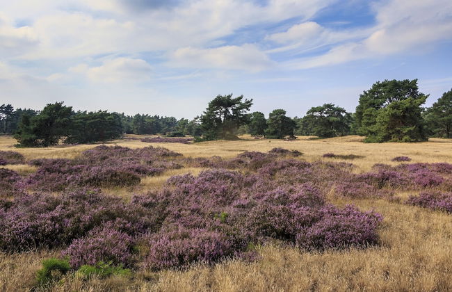 Semi-detached Bungalow with Dishwasher near Veluwe - Photo 39