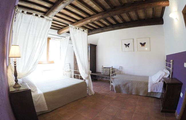 Boschi di Montecalvi - Foto 16