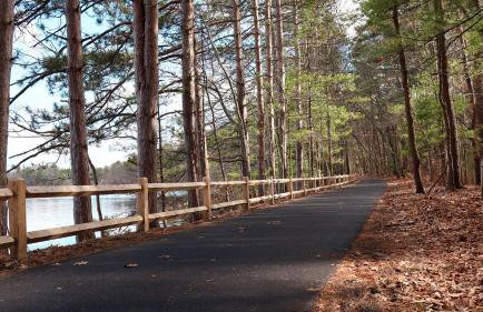 Swanky Midcentury Ranch - Foto 31