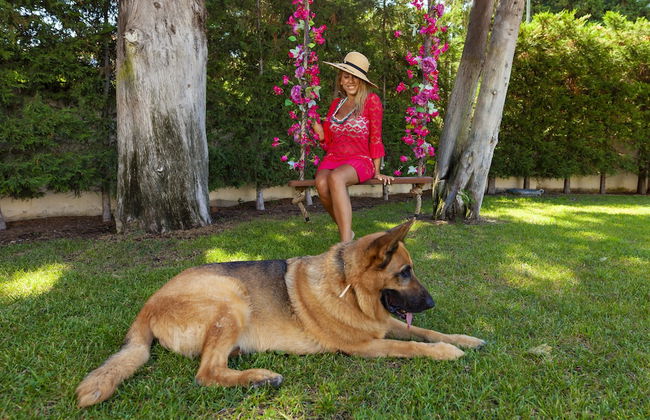 Bella Foresta Villa - Foto 46