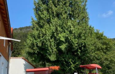 Ferien Langer Grund mitten im Wald - Foto 7