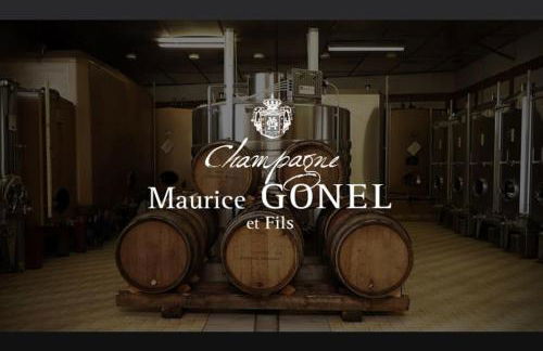 le 29 - Appartement au coeur du vignoble champenois - Foto 17