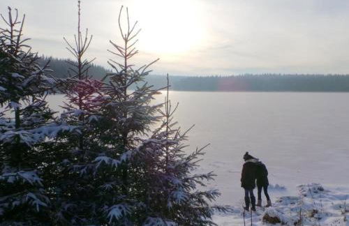 Apartment Fewo Auersberg WGH by Interhome - Foto 14