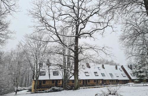 Appartement au calme dans residence avec piscine - Foto 39