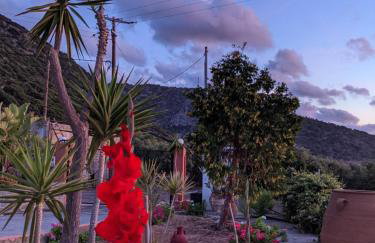 House of Polymnia - Photo 56