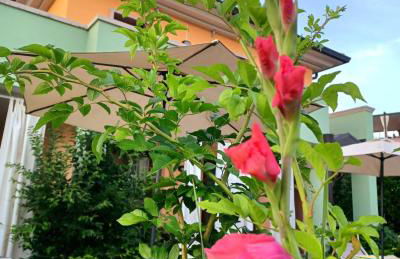 REGINA GARDESANA Luxury - Photo 10