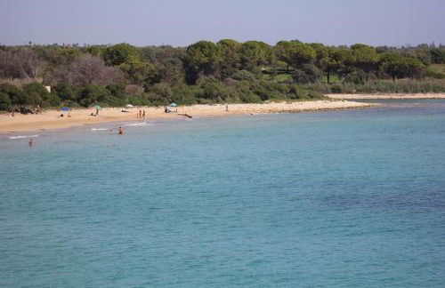 Ernesto’s home - Foto 7