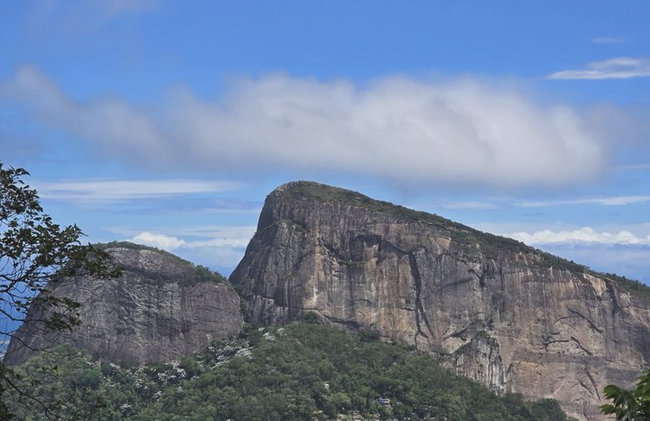 Visita guiada al bosque de Tijuca para grupos pequeños - Foto 26