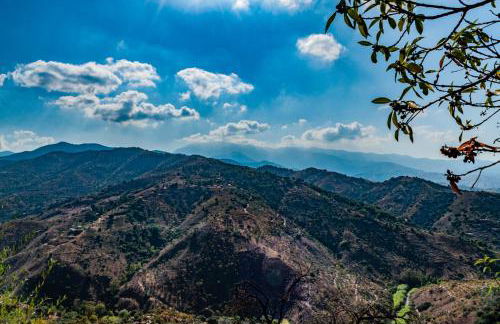 Nido Aguila Blanca - Foto 78