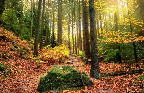 Altstadt Domizil - Photo 32