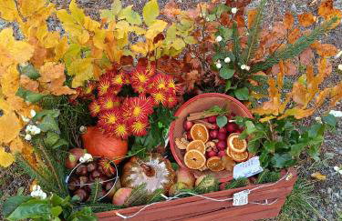 Domek Raszówka - Foto 48