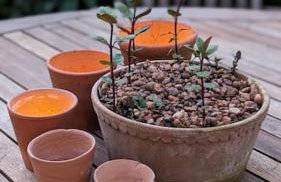 New - Stylish Cotswold cottage - Foto 20