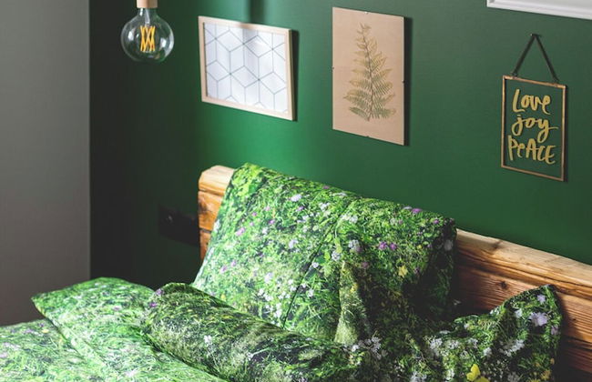 Green Deer Premium - Foto 78