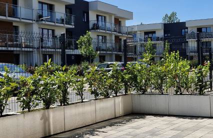 Apartamenty Parkowe B5 - Photo 14