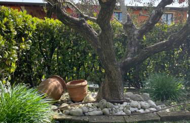 Gardasole 45 - Foto 34