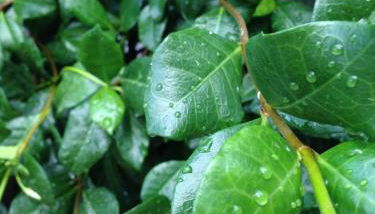 Naiada Apartments Milina - Foto 4