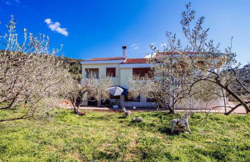 Roko Opaćac Veli IŽ,otok Iž - Foto 12