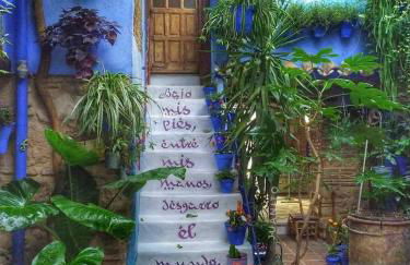 El patio azul Bohemio Mágico - Foto 40