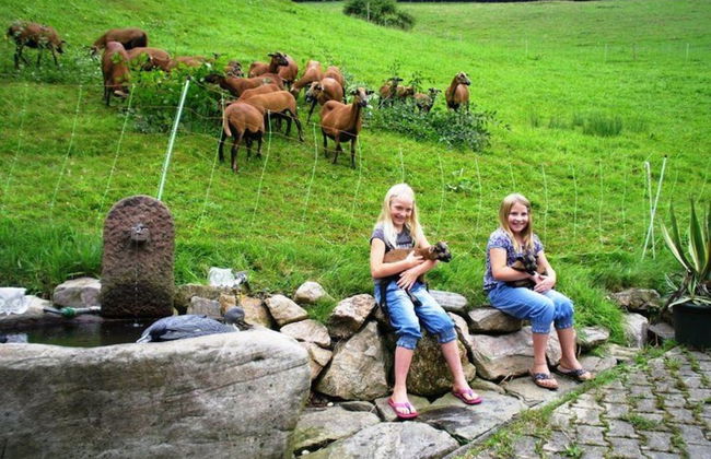 Apartment in Hofstetten Surrounded by Nature - Foto 18