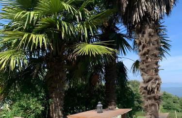 Masia Sa Calma - La Tribu - Foto 26