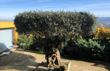 Casa De Santo Andre - Foto 68