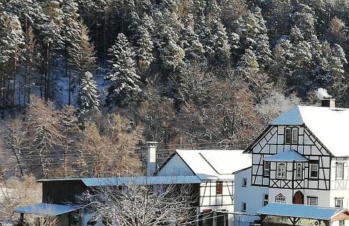 Fewo an der Klosterruine Paulinzella mit kostenfreien Parkplatz und WLAN - Foto 13