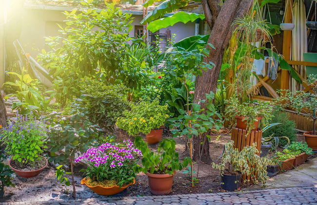 H&B apartments Agmashenebeli II - Foto 44