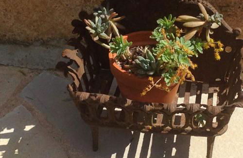 Domaine De La Provenç'âne - Foto 8