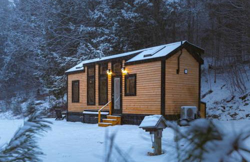 Sage House at Camp Greenwood Vermont with Sauna - Foto 1