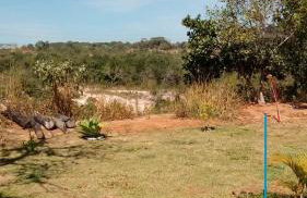 Chacara Recanto Feliz - Foto 6