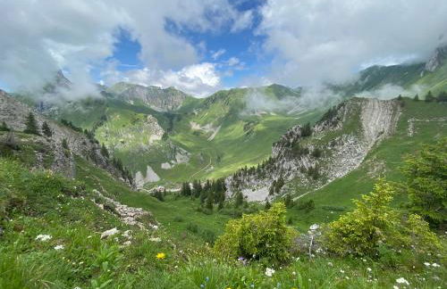 La Joly - ChaletYap - Photo 39