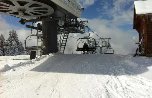 Appartements Le Clos des Gentianes - Foto 33