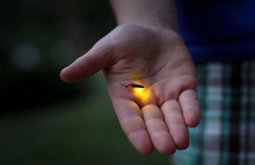 Shoal Creek Retreat - Spacious, Views, Relaxing - Foto 6