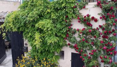 Les Grés Logis de Charme - Foto 5