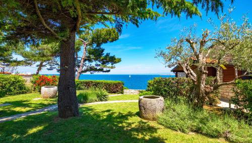 Casa Ana Istria 2 & 3 - Foto 3, Garden, Garden view